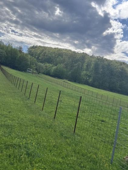 Teren Construcții intravilan de 2500 mp, în Marginea