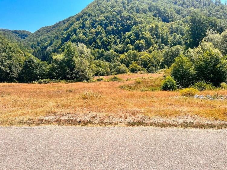 Teren de 5014 mp, în Călugăreni