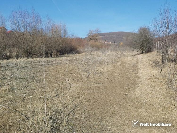 Teren Construcții intravilan de 1000 mp, în Ciurila