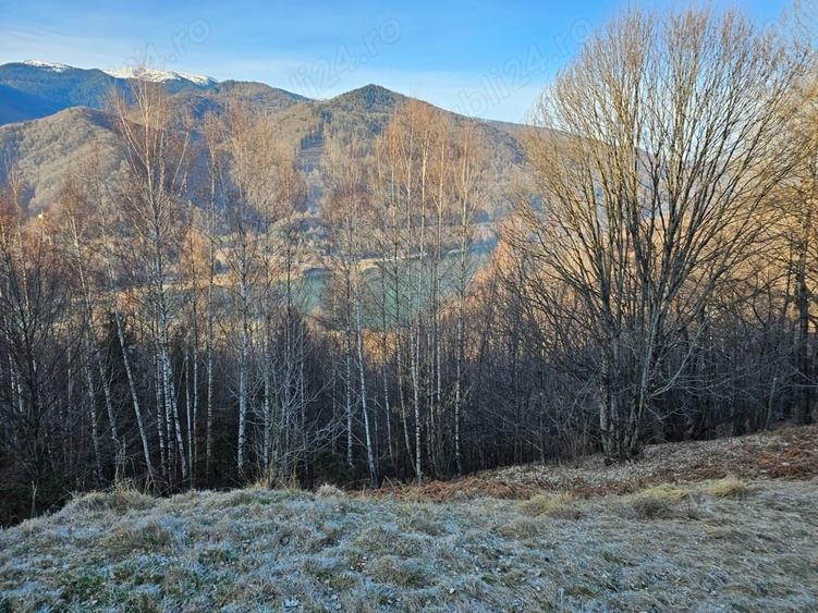 Teren de 10000 mp, în Poiana