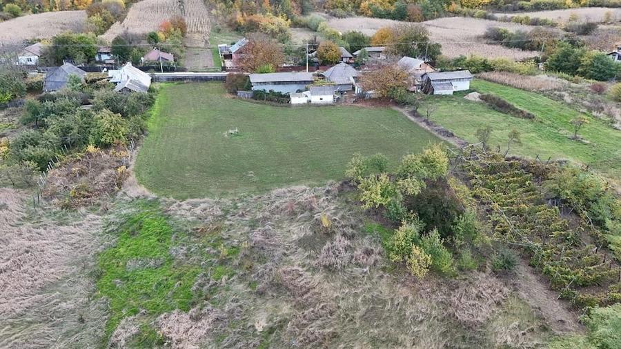 Casă cu Teren 5500 Mp în Central
