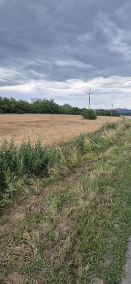 Teren de 1700 mp, în Galda de Jos