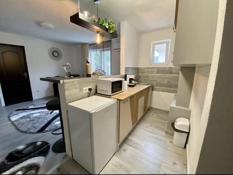 Apartament cu 2 camere decomandat, mobilat în Praid