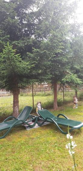 Casă cu 4 camere în Lepșa