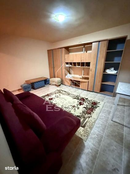 Apartament cu 1 camera de vanzare, zona Brancoveanu, Timisoara - 6