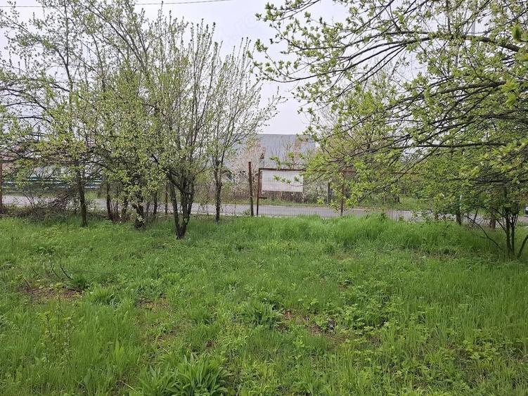 Teren de 3000 mp, în Predeal