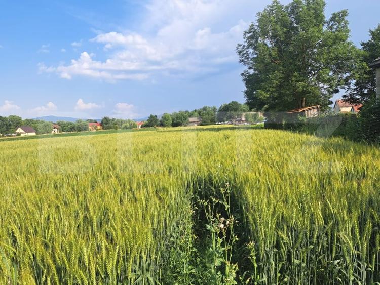 Casă individuală cu 4 camere cu Canalizare în Lunca Calnicului
