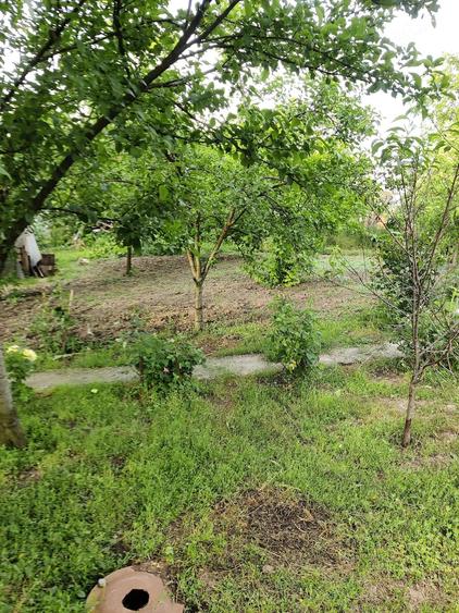 Casă cu 3 camere cu Teren 1000 Mp în Stejaru