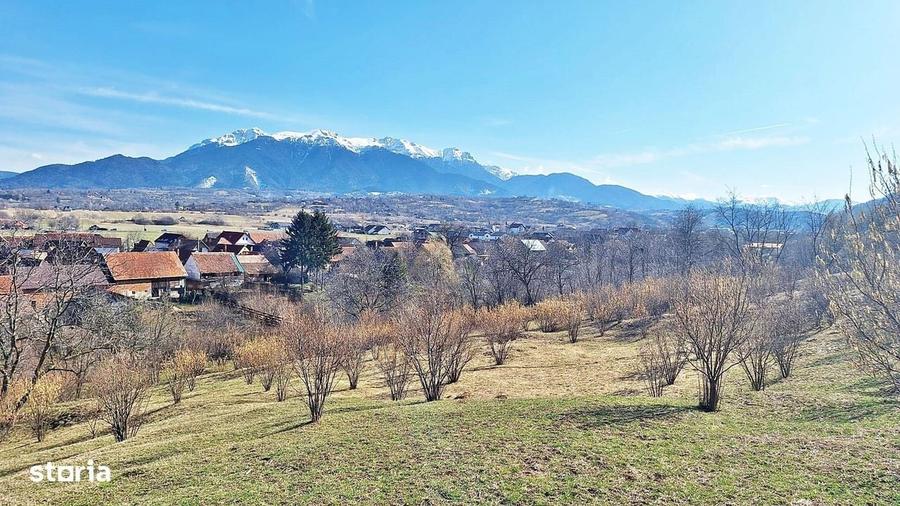 Spațiu comercial, în Tohanu Nou