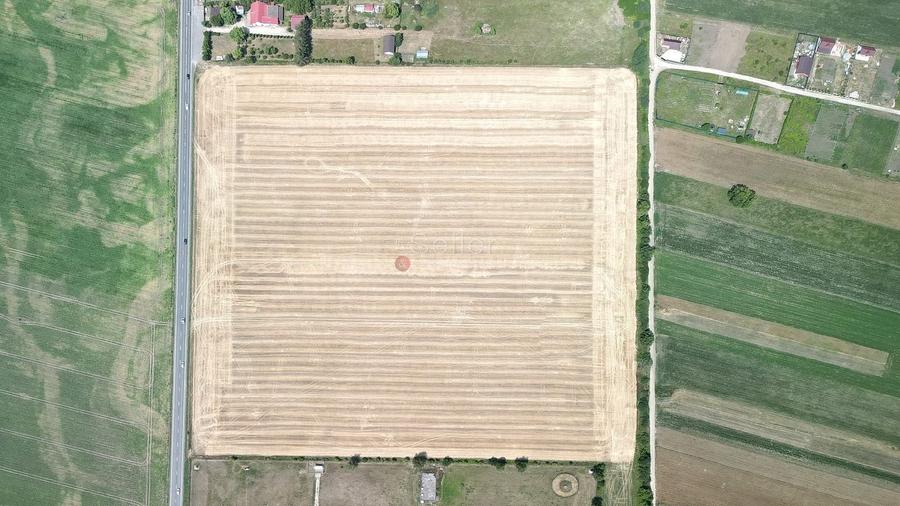 Teren Construcții intravilan de 60000 mp, în Feldioara