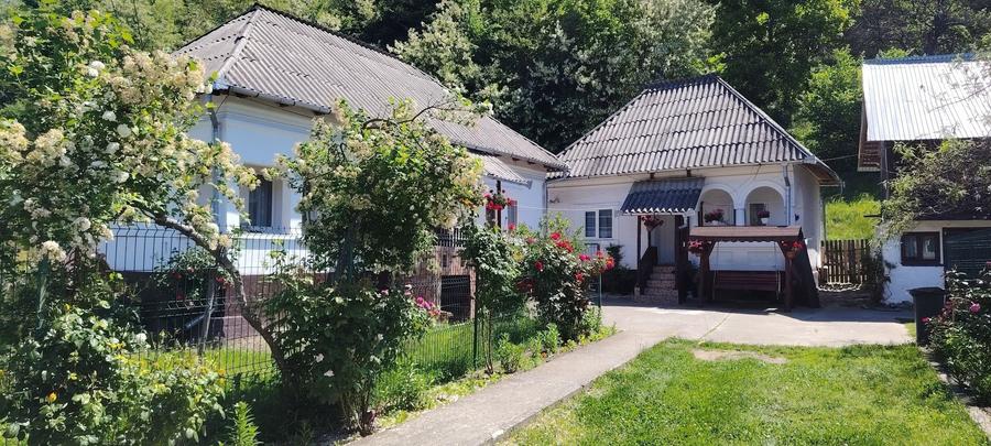 Casă cu 4 camere în Stănești