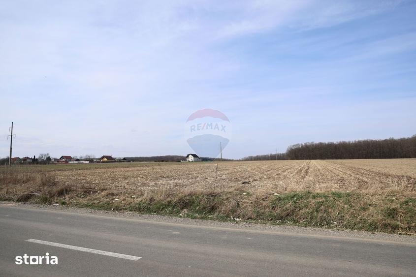 Teren de 9740 mp, în Bosanci