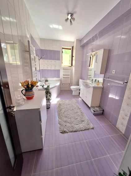Vanzare casa P+1, zona Arcasilor, - 12
