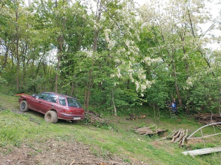Casă cu 2 camere cu Teren 7650 Mp în Central