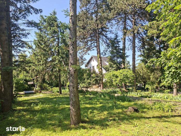 Casa cu Pini. Un refugiu in culoarea naturii. - 17
