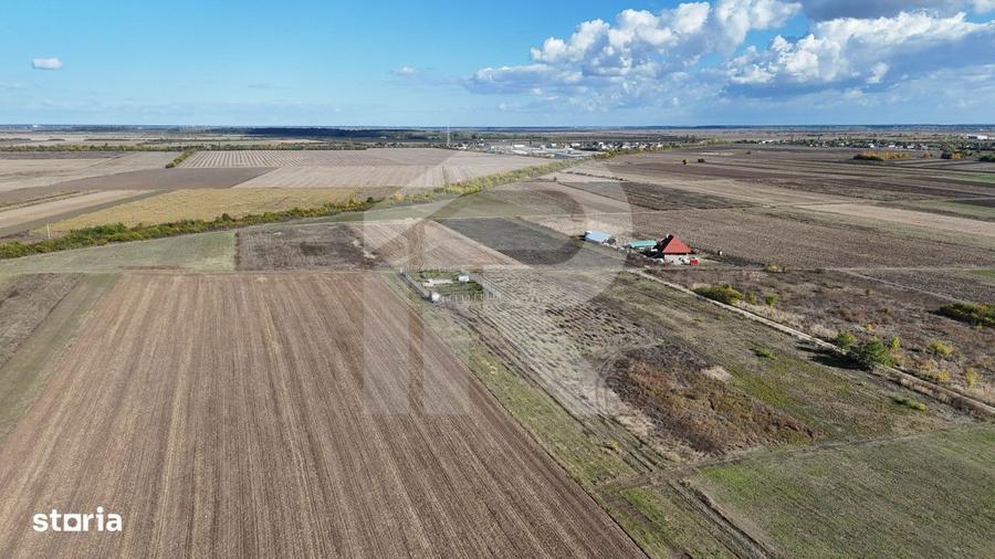 Refugiu la marginea padurii 2822 mp de liniste in Cocani. - 10