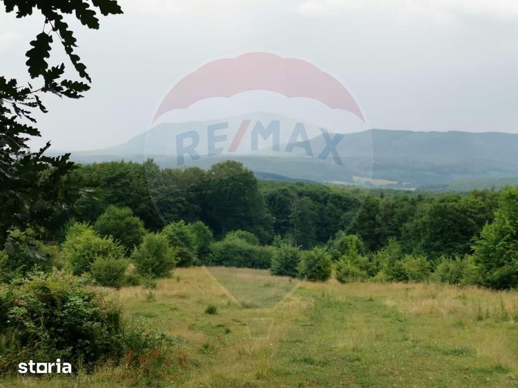 Teren de 5400 mp, în Mănești