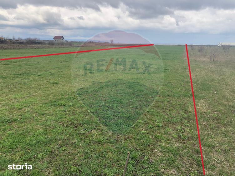 Teren de 3545 mp, în Tărlungeni