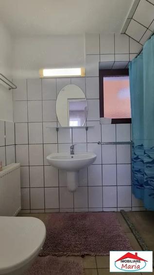 Casă în Viile Satu Mare