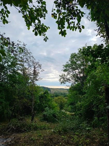 Teren cu priveliste spre vale, la padure, zona linistita, la 1h30 de Bucuresti - 2