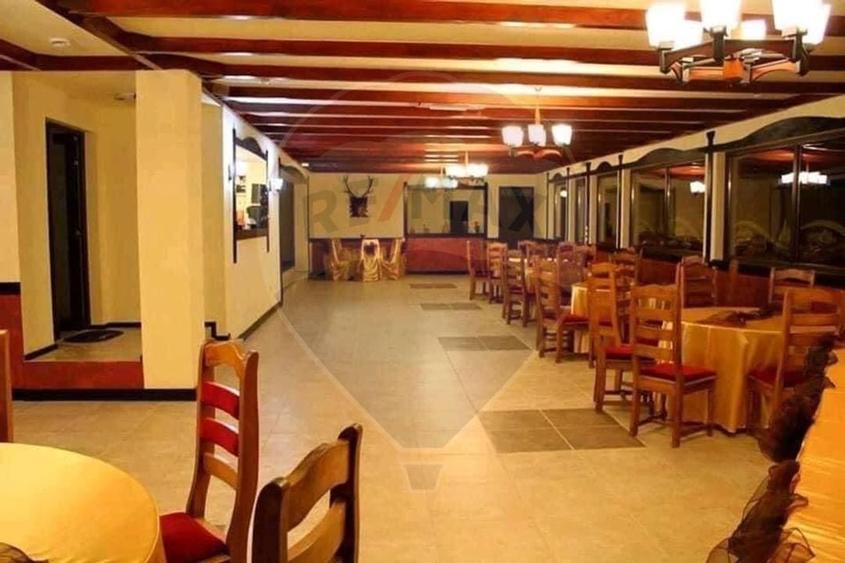Hotel/Pensiune, de 530 mp, în Ciobănuș