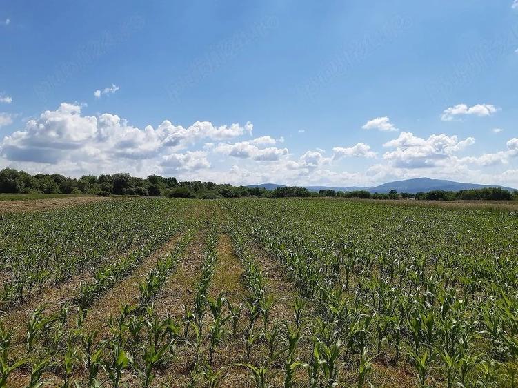 Teren de 20300 mp, în Lunca Calnicului