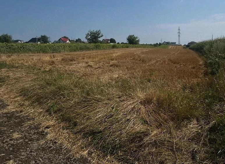 Teren de 420 mp, în Ipotești