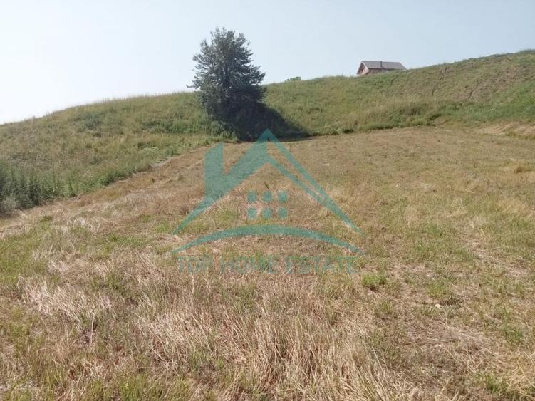 Teren Construcții intravilan de 3000 mp, în Corușu