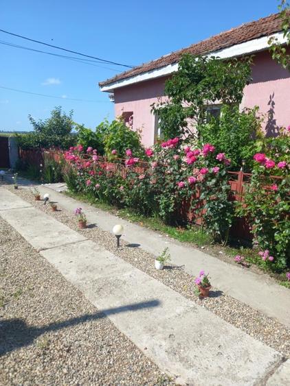 Casă cu 3 camere în Osica de Sus