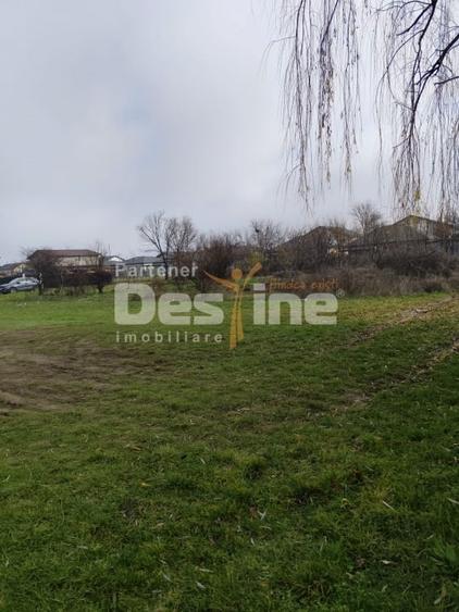 Teren Construcții intravilan de 600 mp, în Domnești