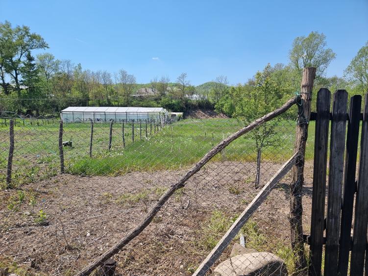 Teren Construcții intravilan de 1809 mp, în Moțăieni