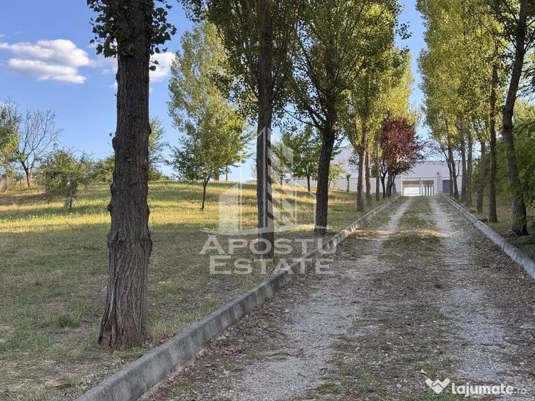 Casă cu 7 camere cu Teren 1080 Mp în Central