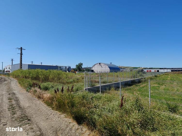 Teren de 5000 mp, în Lețcani