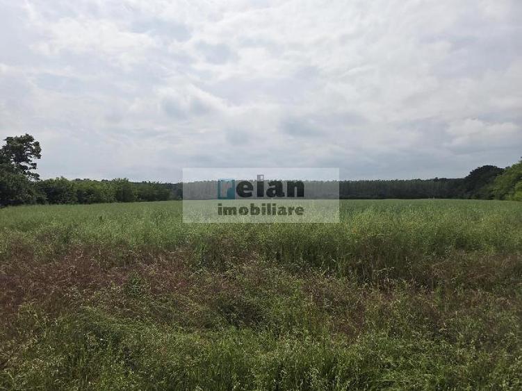 Teren Construcții intravilan de 892 mp, în Ciolpani