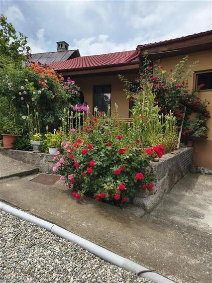 Casă individuală cu 4 camere cu Canalizare în Bod