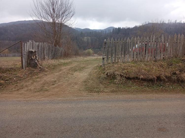 Teren de 2800 mp, în Dofteana