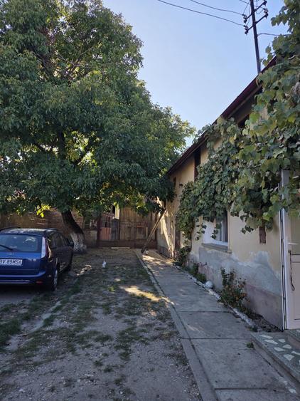 Casă cu 2 camere cu Teren 650 Mp în Crizbav