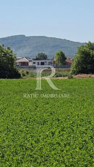 Teren Construcții intravilan de 1780 mp, în Sânmartin