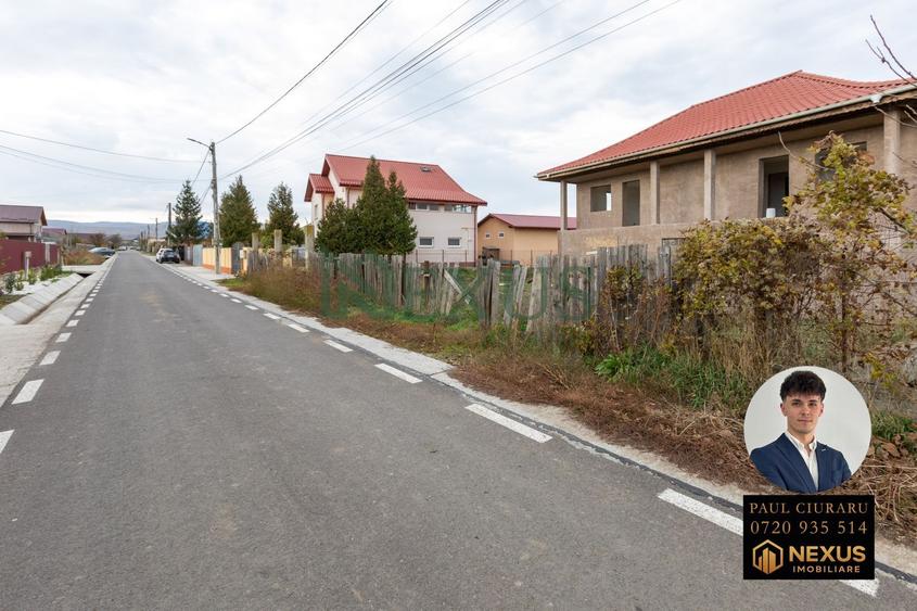 Teren Construcții intravilan de 3942 mp, în Nicolae Bălcescu