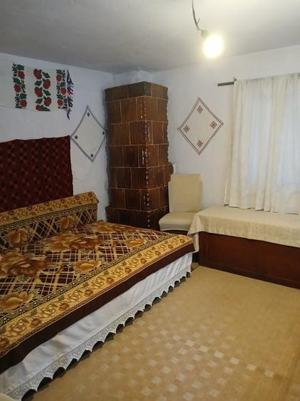 Casă cu 4 camere în Radu Negru