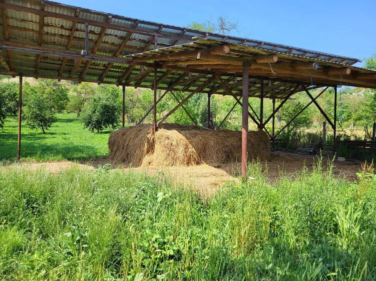 Casă cu 3 camere în Central