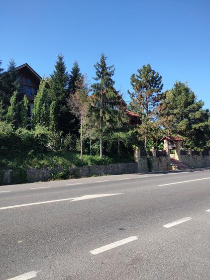 Copou-teren 1300 mp.intravilan Iasi - 1