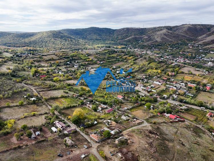 Teren Construcții intravilan de 3044 mp, în Niculițel