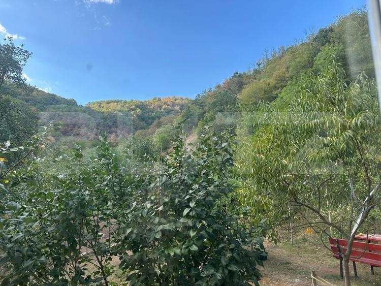 Casă individuală cu 3 camere cu Teren 10900 Mp în Căinelu de Sus