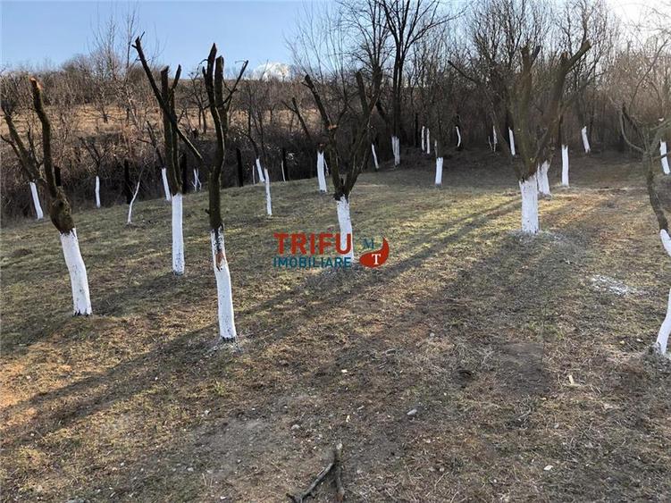 Casă individuală cu 4 camere cu Canalizare în Cricău