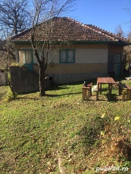 Teren de 5265 mp, în Teișani