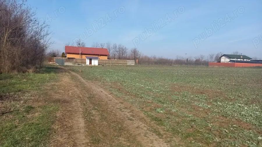 Teren de 10000 mp, în Dârvari