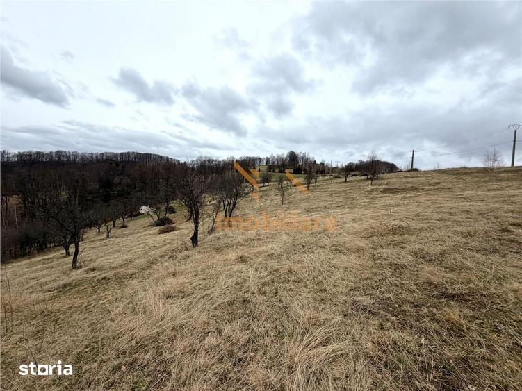 Teren de 34000 mp, în Borod