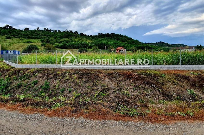 Teren Construcții intravilan de 2500 mp, în Livezeni