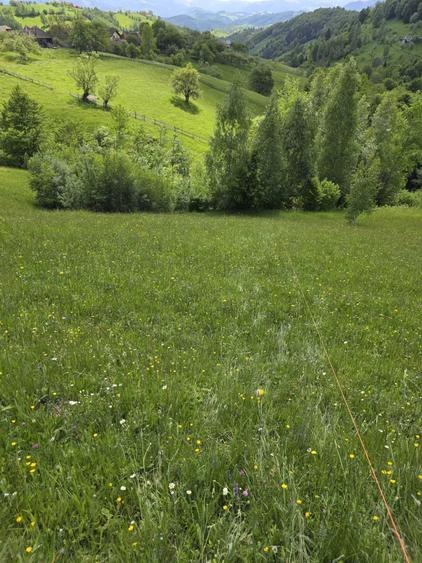 Teren de 1940 mp, în Măgura